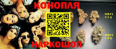 мет Кингисепп