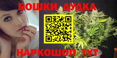 мет Кингисепп