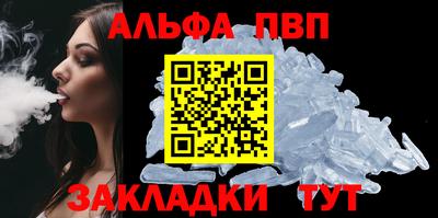 мет Кингисепп