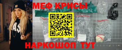 мет Кингисепп