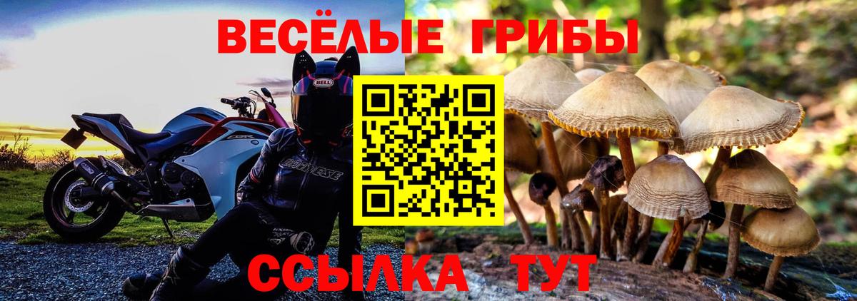 Галлюциногенные грибы мухоморы  что такое   Псилоцибиновые грибы мухоморы  Новомосковск  Вход с VPN 